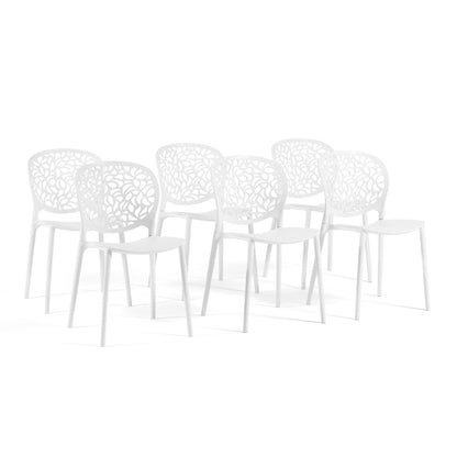 40564924